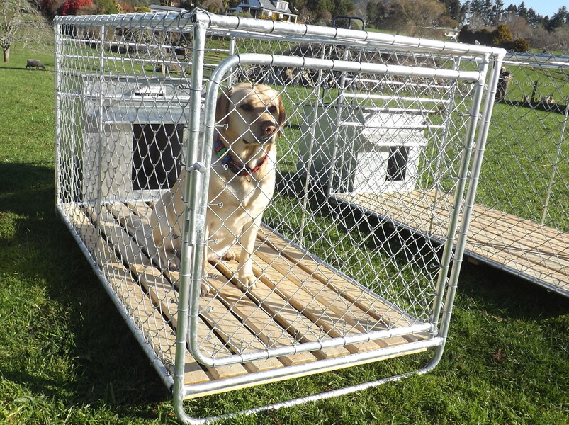 Quality Kennels,Dog Kennels,Dog,Kennels,Runs,Dog Shelters Quality